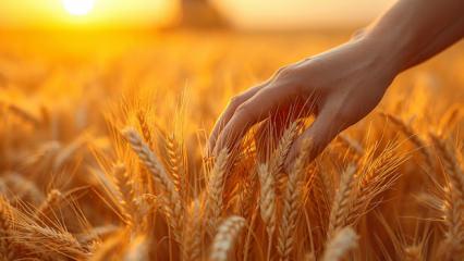 Sezon iyi başladı, y&uuml;zler g&uuml;l&uuml;yor: Tam 66 yıl sonra gelen tarihi rekor! 