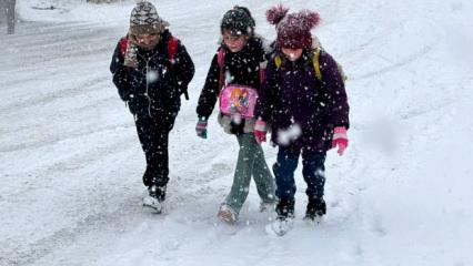 Son dakika: Bir ilimizde okullar tatil edildi