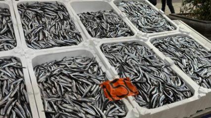 Tezgahlarda son g&uuml;nleri: Kilosu 150 lira