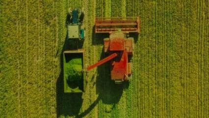 T&uuml;rkiye'de &ouml;ş&uuml;r potansiyeli: Tarım geliri, yoksullukla m&uuml;cadelede yeni kaynak olabilir