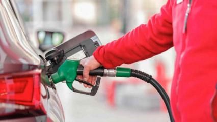 Ucuz yakıt i&ccedil;in &uuml;lke değiştiriyorlar! İndirim sonrası sınıra akın ettiler