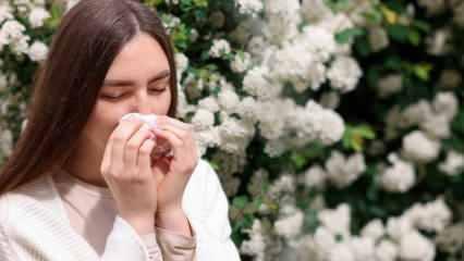 Uzman isimden kritik uyarılar: Bahar aylarının kabusu polen alerjisi alarmı!