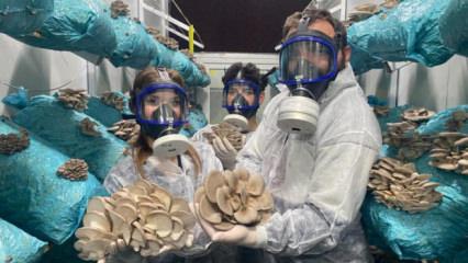 Hobi olarak başladı: G&uuml;nde 1 tona yakın hasat elde ediyor