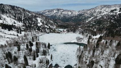 3 aydır kapalıydı! 1550 metredeki doğa harikası Bor&ccedil;ka Karag&ouml;l Tabiat Parkı a&ccedil;ıldı