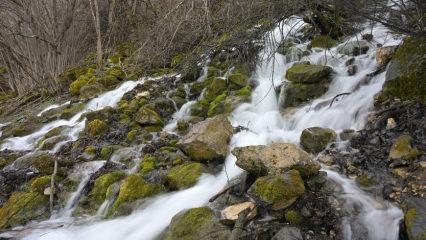 Akıl sır erdiremediler! Dağın ortasından aynı anda akan gizemli sular