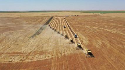 Arazi sahipleri dikkat! Bakanlık duyurdu: T&uuml;m araziler i&ccedil;in yeni kullanım planı geliyor!