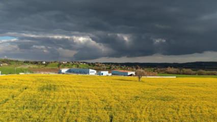 Devlet destekli &uuml;retim! &Ccedil;ift&ccedil;ilerin y&uuml;z&uuml; g&uuml;l&uuml;yor