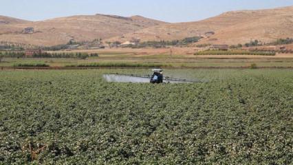 G&uuml;bre ithalatında g&uuml;mr&uuml;k vergisi sıfırlandı