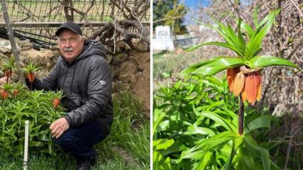 Dokunması bile yasak... Koparan 700 bin TL &ouml;der!