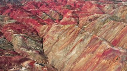Iğdır&rsquo;da renk c&uuml;mb&uuml;ş&uuml;: Fotoğraf tutkunları buraya hayran kalıyor