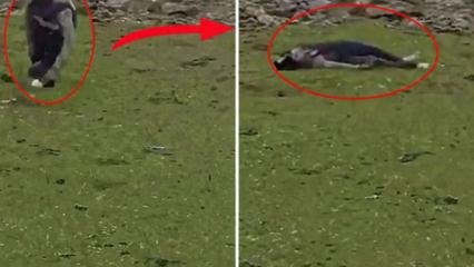 İsrail baskın d&uuml;zenleyip sivilleri vurdu: Ne İran ne L&uuml;bnan!