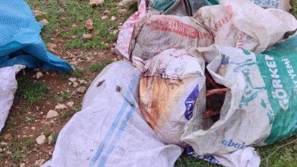 Şanlıurfa'da &ccedil;uvaldan at leşi &ccedil;ıktı! İnceleme başlatıldı 
