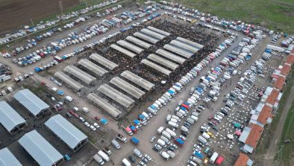 'Koyun fiyatları 18 ile 22 bin lira arasında değişiyor'