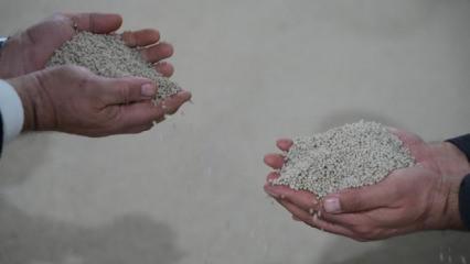 K&uuml;resel g&uuml;bre krizine yerli &ccedil;&ouml;z&uuml;m: Arz sorunu yok