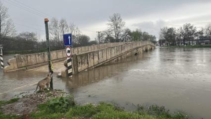 Meri&ccedil; ve Tunca nehirler i&ccedil;in 'sarı alarm' verildi