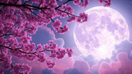 Pembe Dolunay ne zaman g&ouml;r&uuml;lecek?