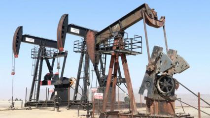 Rusya'nın petrol ve doğal gaz gelirleri martta y&uuml;zde 43 arttı