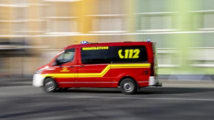 Şehre inen kurt, yardım etmek isteyen kadına dehşeti yaşattı