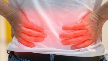 Şiddetle ka&ccedil;ının: B&ouml;breklerinizi iflas ettiriyor! Sizi zarara sokuyor