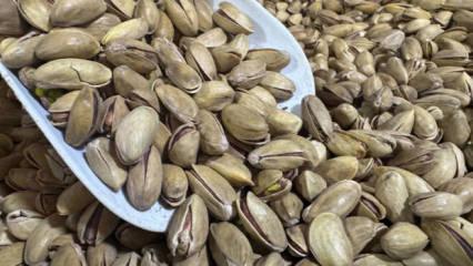 T&uuml;rkiye'den yılın ilk &ccedil;eyreğinde 32,8 milyon dolarlık fıstık ihracatı