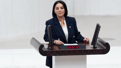 AK Parti Milletvekili Şeng&uuml;l Karslı&rsquo;dan TBMM&rsquo;de tarihi &ccedil;ıkış!