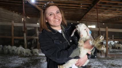 Aldığı devlet desteğiyle 300 ke&ccedil;iyi 1300 ke&ccedil;iye &ccedil;ıkarttı