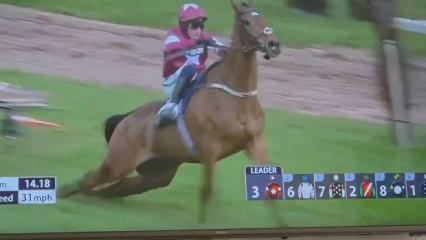 İngiltere'deki at yarışlarında feci son: Birinci olan şampiyon at uyutuldu