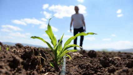 H&uuml;rm&uuml;z Boğazı kıskacında tarım: Savaş bitişse de maliyet baskısı s&uuml;recek