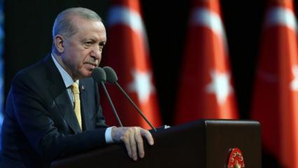 Erdoğan'dan 8 Nisan D&uuml;nya Romanlar G&uuml;n&uuml; mesajı