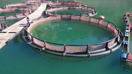 3,3 milyar TL'lik dev yatırım! TKDK hibeleriyle şehir şaha kalktı