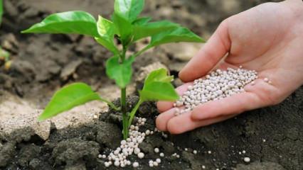 G&uuml;bre krizi, k&uuml;resel gıda &uuml;retimini tehdit ediyor