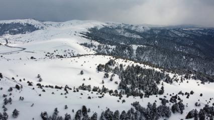 Kilometrelerce yolu bu manzara i&ccedil;in aştılar! 2 bin 77 rakımda g&ouml;rsel ş&ouml;len