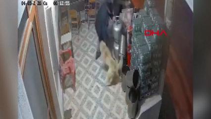 K&ouml;pek saldırısında parmağı koptu: O anlar kamerada