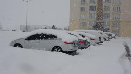Bitlis'te lapa lapa kar yağışı: 82 k&ouml;y yolu ulaşıma kapandı