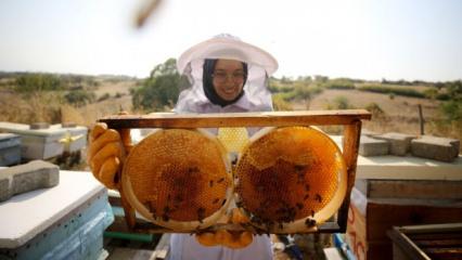 T&uuml;rk balı 31 &uuml;lkenin sofrasında