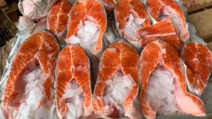 T&uuml;rk somonuna talep b&uuml;y&uuml;k! 91 milyon doları aştı