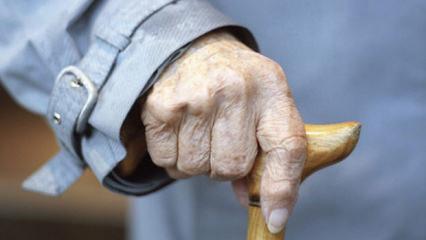 T&uuml;rkiye'nin potansiyeli y&uuml;ksek: "Emeklilik yaşını artırın, işten &ccedil;ıkarmayı kolaylaştırın"