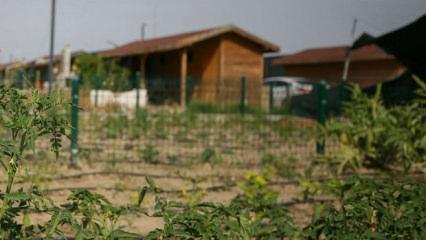 Uğraşı (hobi) bah&ccedil;eleri