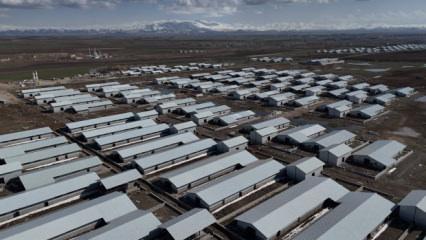 Ağrı&rsquo;da 307 ahırlık hayvancılık &uuml;ss&uuml; hayata ge&ccedil;iyor