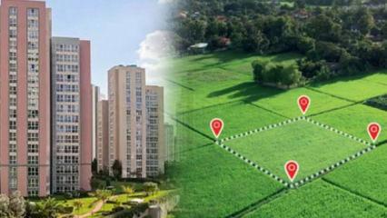 Bu illerdeki arsalar değerine değer katıyor! Yatırımcılar dikkat