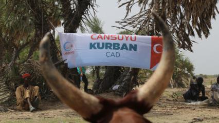 Cansuyu'ndan 2026 kurban seferberliği