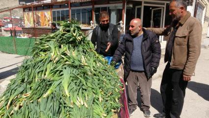 Doğada kendiliğinden yetişiyor! Kilogramı 100 TL 