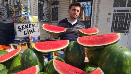 İran karpuzu tezgahlarda dilimle satılıyor
