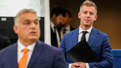 Macaristan se&ccedil;imlerini anlamak