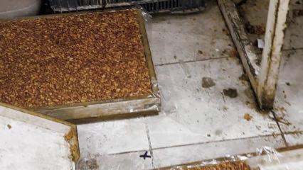 Mide bulandıran şartlarda lokum ve cezerye &uuml;retildiği ortaya &ccedil;ıktı