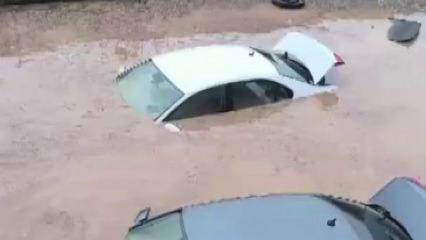 Siirt&rsquo;te ara&ccedil;lar sel sularında kayboldu, onlarca hayvan telef oldu