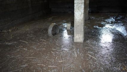 Siirt'te sağanak sonrası facia: 35 k&uuml;&ccedil;&uuml;kbaş akıntıya kapılarak telef oldu