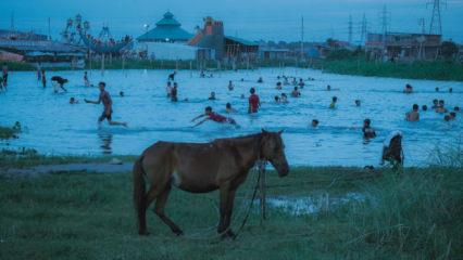 Sony D&uuml;nya Fotoğraf&ccedil;ılık &Ouml;d&uuml;lleri 2026: Genel kazananlar a&ccedil;ıklandı