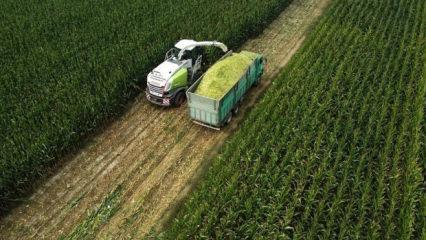 Tarım &Uuml;FE martta aylık bazda y&uuml;zde 3,85 arttı