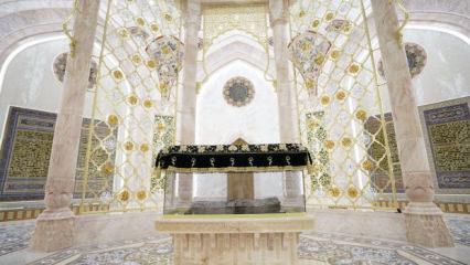 Taşkent&rsquo;te tarihi başarı: D&uuml;nyanın en b&uuml;y&uuml;k m&uuml;zesi tescillendi!